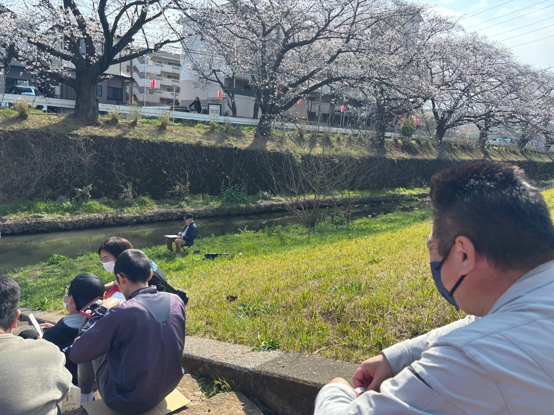 【所沢】3月28日㈯お花見ウォーキングを開催します!【自立みらい図】